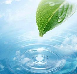 Вода как энергоинформационная матрица жизни