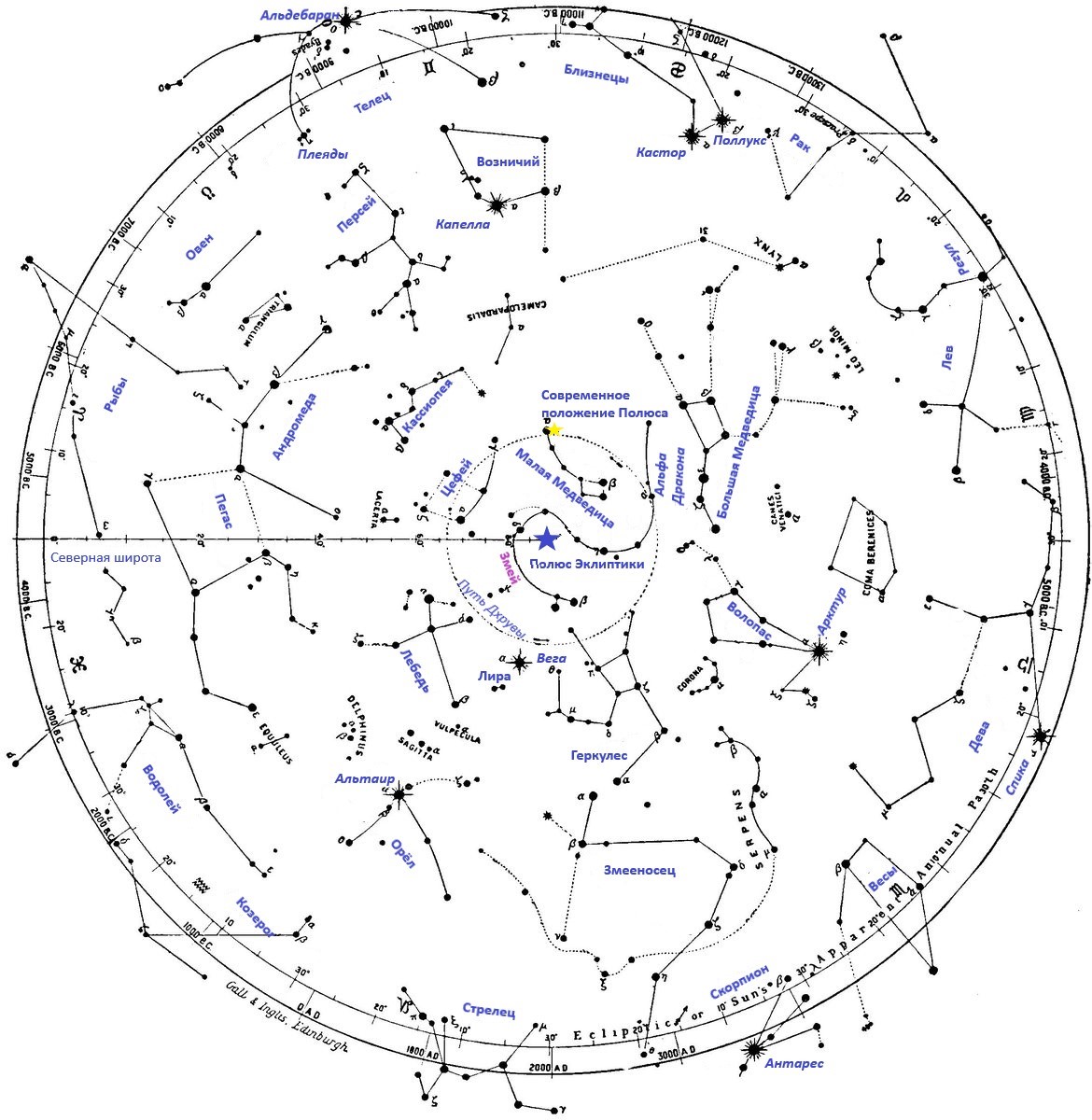 Рисунок 6.2. Проекция созвездий северного полушария Небесной Сферы на плоскость эклиптики. Синей звездой отмечено положение полюса эклиптики в центре созвездия Змея (Дракона), совпадавшего некогда с полюсом Земли. Также на рисунке отмечены некоторые созвездия и звёзды.